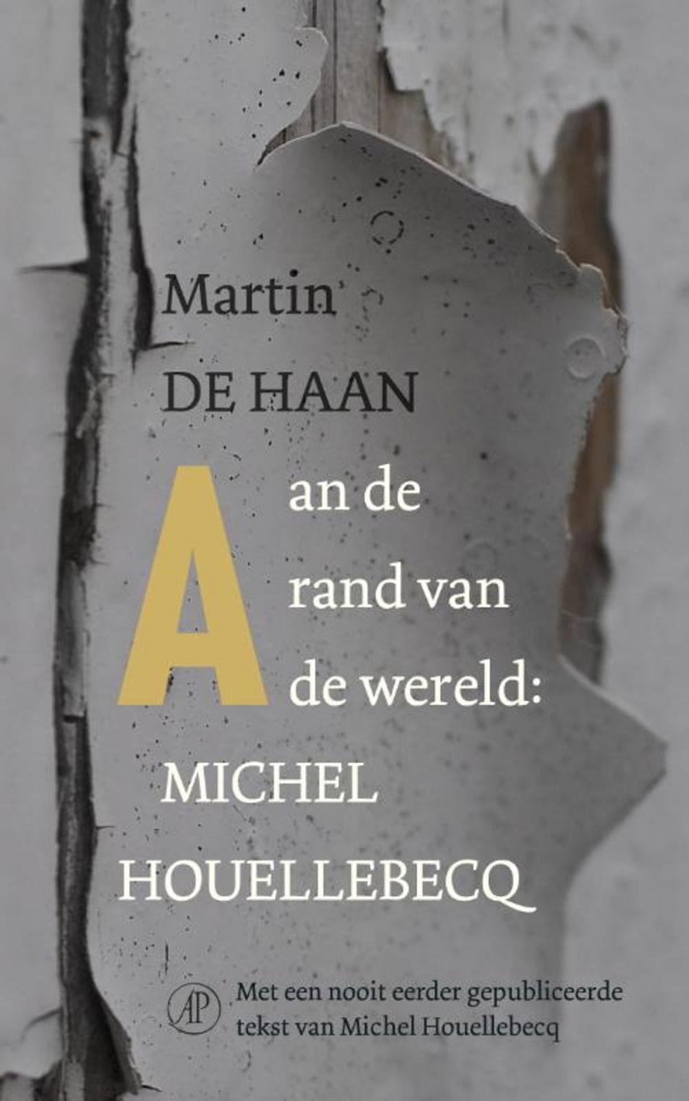 Big bigCover of Aan de rand van de wereld: Michel Houellebecq