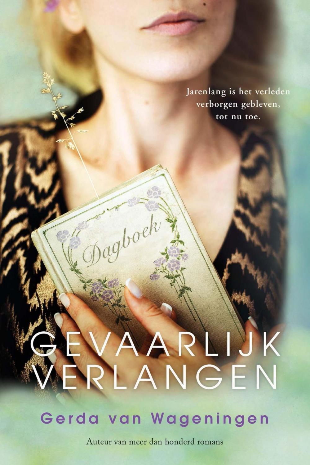 Big bigCover of Gevaarlijk verlangen