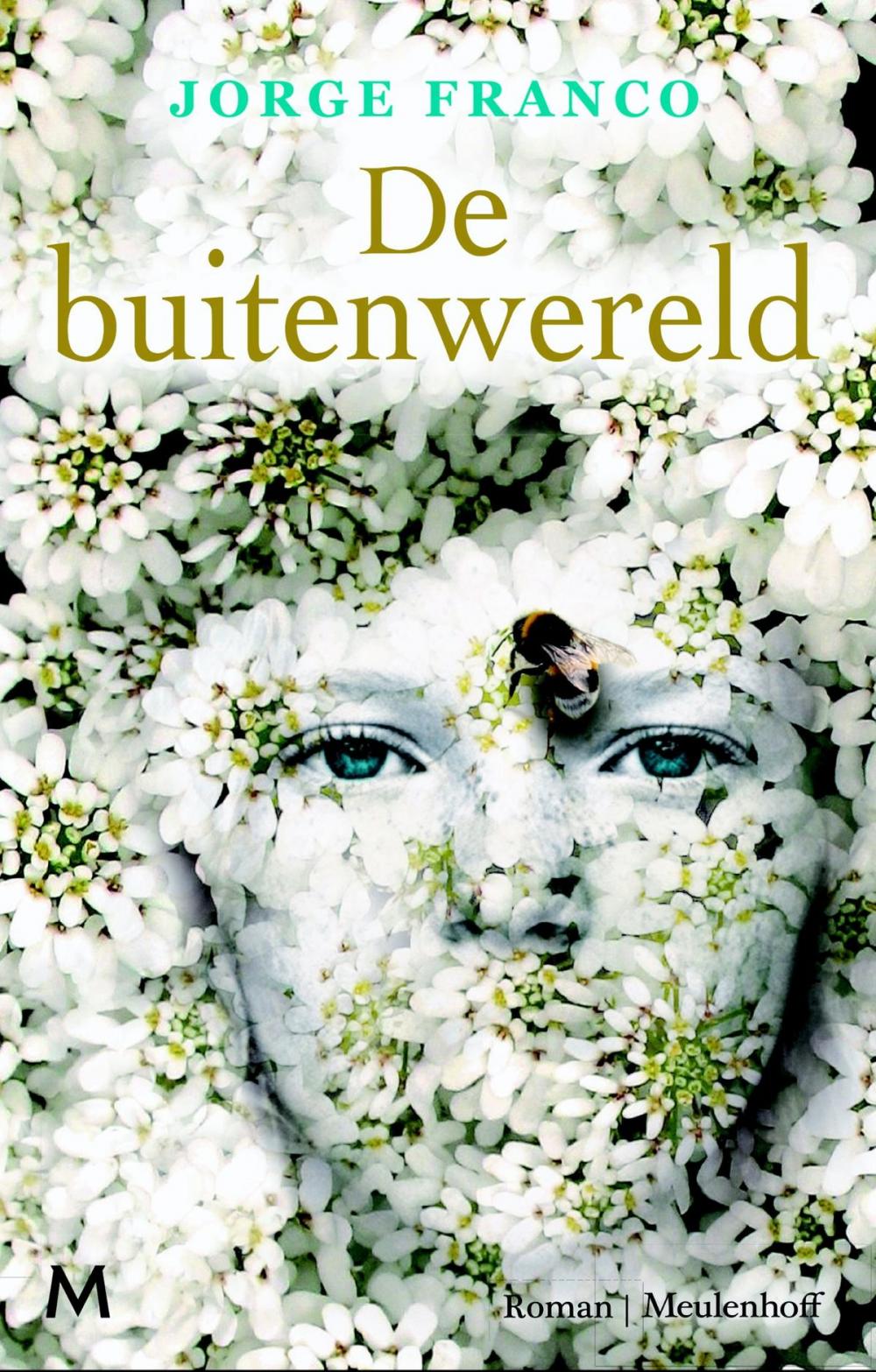 Big bigCover of De buitenwereld