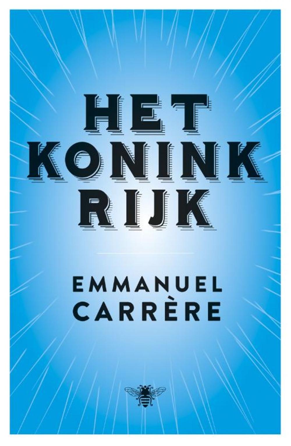 Big bigCover of Het koninkrijk