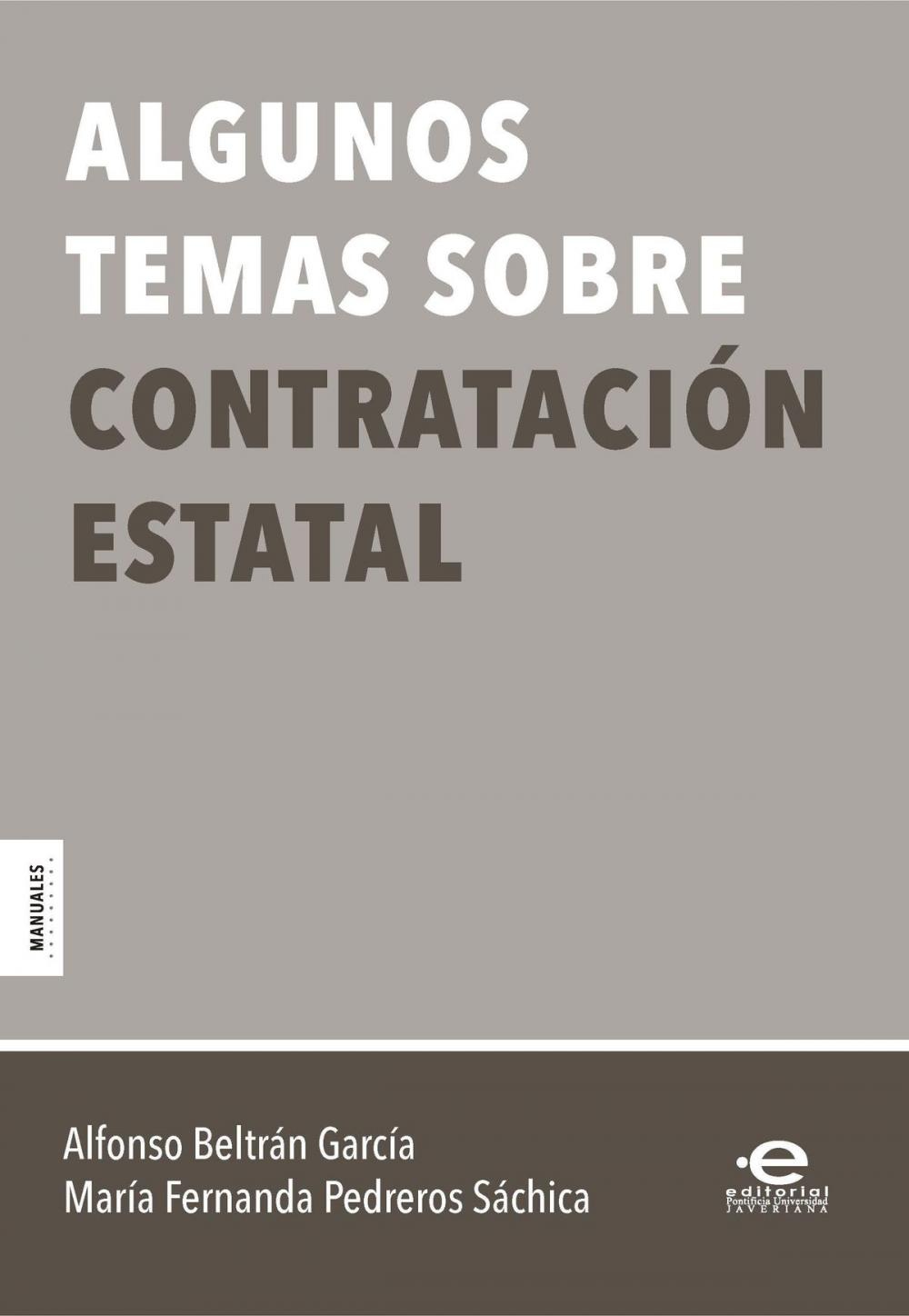 Big bigCover of Algunos temas sobre contratación estatal