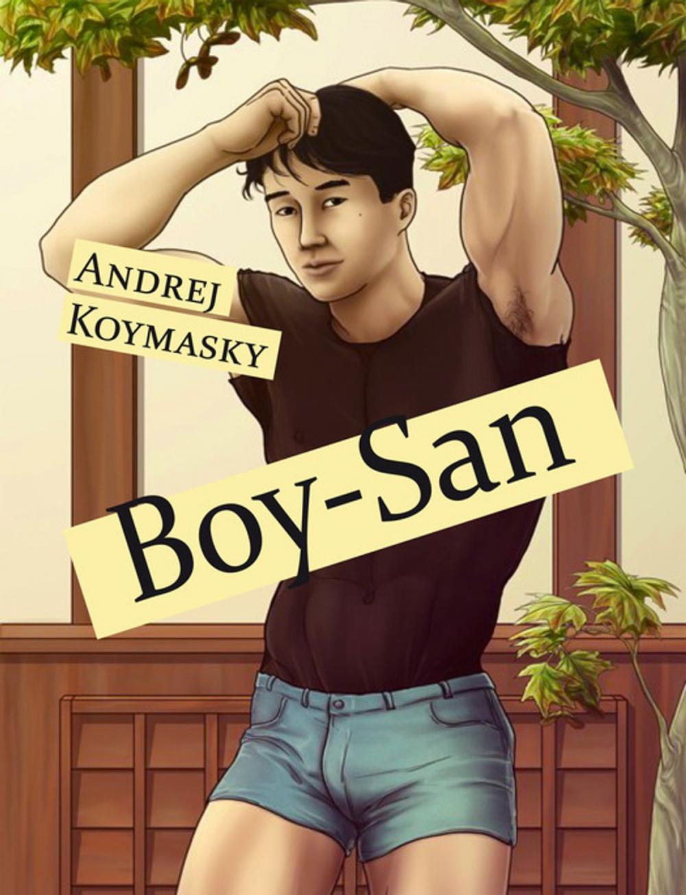 Big bigCover of Boy-San