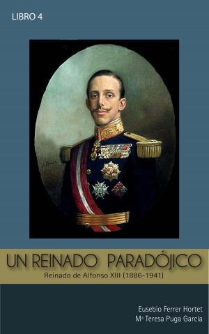Book cover of UN REINADO PARADÓJICO: ALFONSO XIII