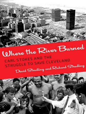 Cover of the book Where the River Burned by James Yarbrough Jr