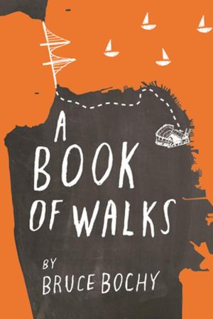 bigCover of the book A Book of Walks by 
