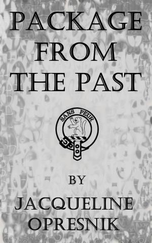 Cover of the book Package From The Past by H. A. Guerber