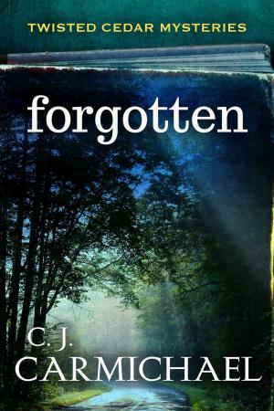 Cover of the book Forgotten by DW Ulsterman