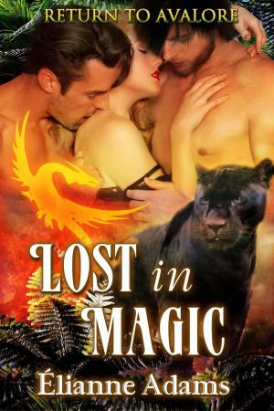 Cover of the book Lost in Magic by Mayday MC