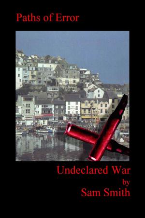 Cover of the book Undeclared War: Paths of Error by Jo Goodman
