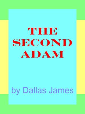Cover of The Second Adam