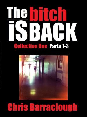 Cover of the book The Bitch is Back Collection One (Parts 1-3) (The Bitch Is Back British Crime Thrillers Boxset) by Rahiem Brooks