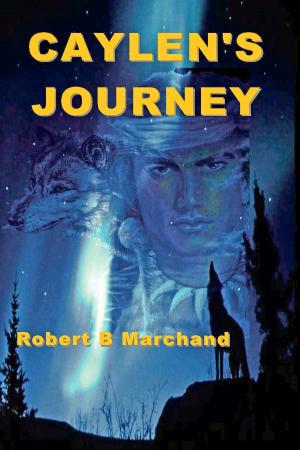 Cover of the book Caylen's Journey by K. Patrick Malone