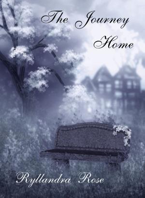 Cover of the book The Journey Home by Tracy Burkhart