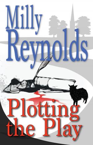 Cover of the book Plotting The Play by Ellery Queen