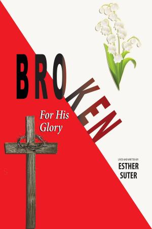 Cover of the book Broken: For His Glory by F.L. Richards and Steve Brunner