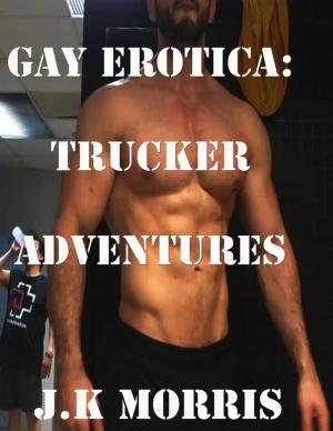 Cover of the book Gay Erotica: Trucker Adventures by Priscilla Laster