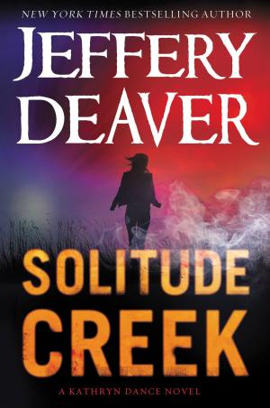 Cover of the book Solitude Creek by Allan Folsom