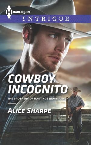 Cover of the book Cowboy Incognito by Valerie Lumer