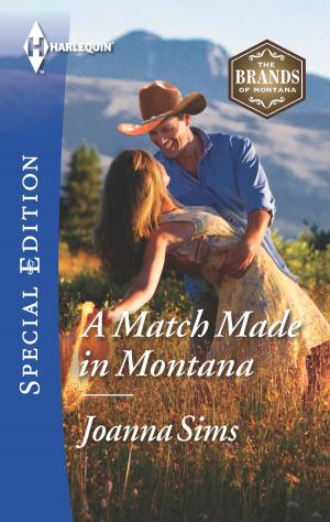 Cover of the book A Match Made in Montana by Elizabeth Rolls