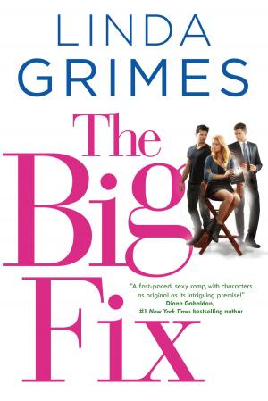 Cover of the book The Big Fix by L. Sprague de Camp, Lin Carter, Bjorn Nyberg