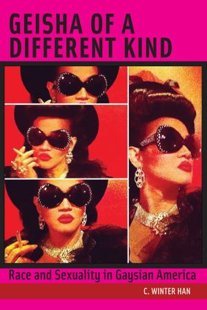 Cover of the book Geisha of a Different Kind by Marco Aurélio Luz