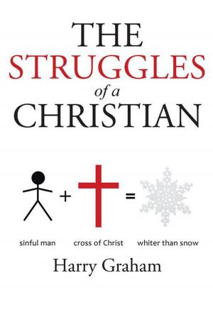 Cover of the book The Struggles of a Christian by Cindy Nelson Smith