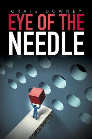 Cover of the book Eye of the Needle by Kirsten Hariett Repp