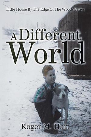 Cover of the book A Different World by H. M. Mueller