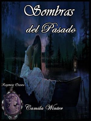 Cover of the book Sombras del pasado by Kat Bastion, Stone Bastion