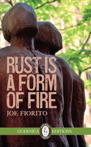 Cover of the book Rust Is a Form of Fire by Louise Bouchard