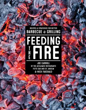 Cover of the book Feeding the Fire by James Peterson