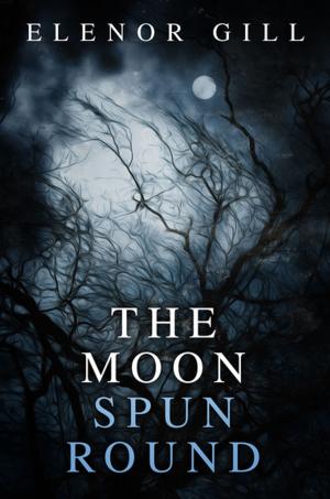 Cover of the book The Moon Spun Round by Stepan Vartanov