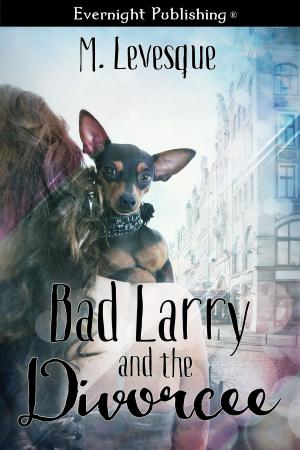 Book cover of Bad Larry and the Divorcée