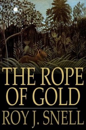 Book cover of The Rope of Gold