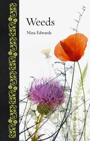 Cover of the book Weeds by David Wilson