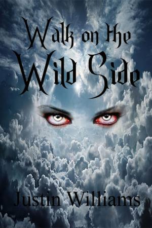 Cover of the book Walk on the Wild Side by Paul J. Martin