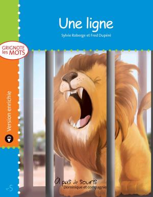 bigCover of the book Une ligne - version enrichie by 