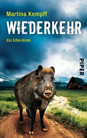 Cover of the book Wiederkehr by Nicola Förg