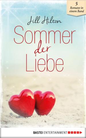 Cover of the book Sommer der Liebe by Veit Etzold