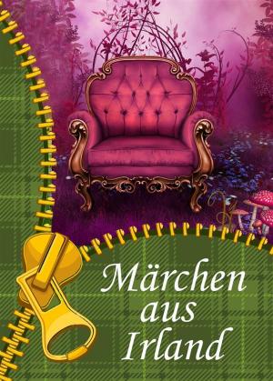 Cover of the book Märchen aus Irland - irische Erzählungen, Geschichten und Elfenmärchen - Ausgesuchte Volkssagen (Illustrierte Ausgabe) by Linda Liebrand