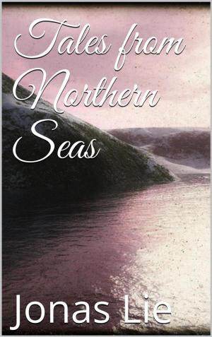 Cover of the book Tales from Northern Seas by Rebecca M Avery