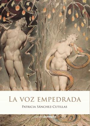 Cover of the book La voz empedrada by Félix Torán