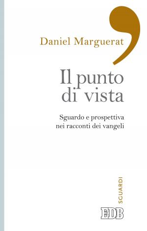 Cover of Il punto di vista