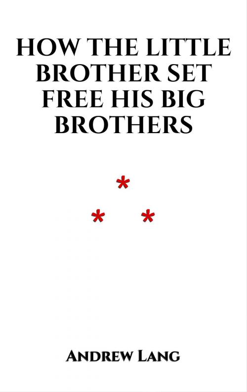 Cover of the book How the Little Brother Set Free His Big Brothers by Andrew Lang, Edition du Phoenix d'Or