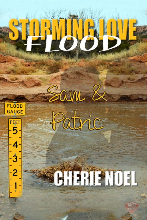 Cover of the book Sam & Patric by Cherie Noel, MLR Press