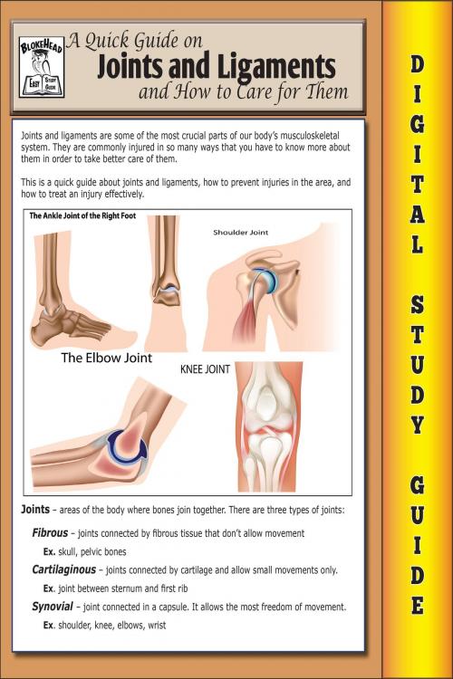 Cover of the book Joints and Ligaments ( Blokehead Easy Study Guide) by The Blokehead, Yap Kee Chong