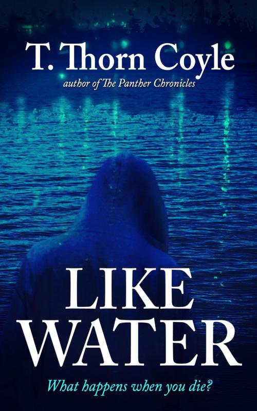 Cover of the book Like Water by T. Thorn Coyle, PF Publishing