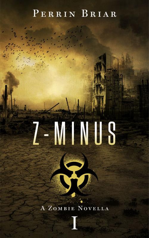 Cover of the book Z-Minus 1 by Perrin Briar, Briar Patch Publishing