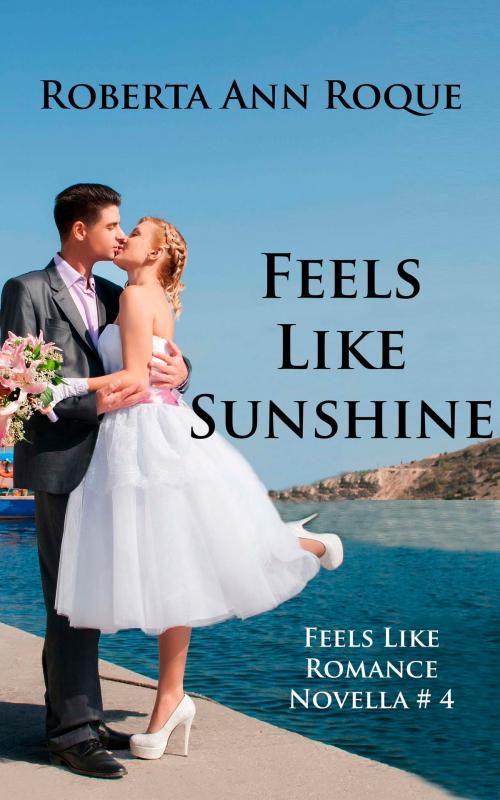 Cover of the book Feels Like Sunshine by Roberta Ann Roque, Windy Point Publishing
