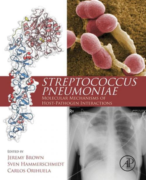 Cover of the book Streptococcus Pneumoniae by , Elsevier Science